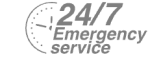 24/7 Emergency Service Pest Control in Chingford, Highams Park, E4. Call Now! 020 8166 9746