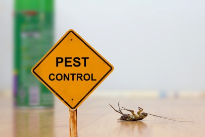 Pest Contol in Chingford, Highams Park, E4. Call Now 020 8166 9746